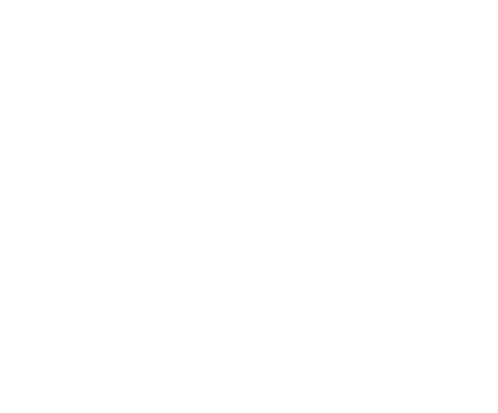 Violence and Insecurity